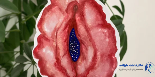 تفاوت واژینوپلاستی و لابیاپلاستی