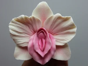 تفاوت واژینوپلاستی و لابیاپلاستی