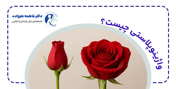 واژینوپلاستی چیست؟